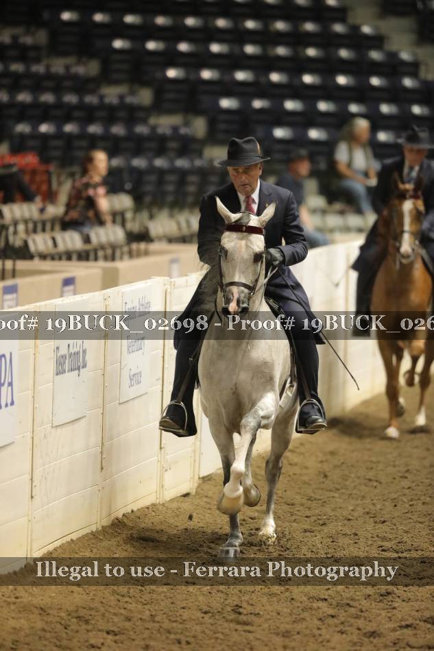 Proof 19BUCK_02698