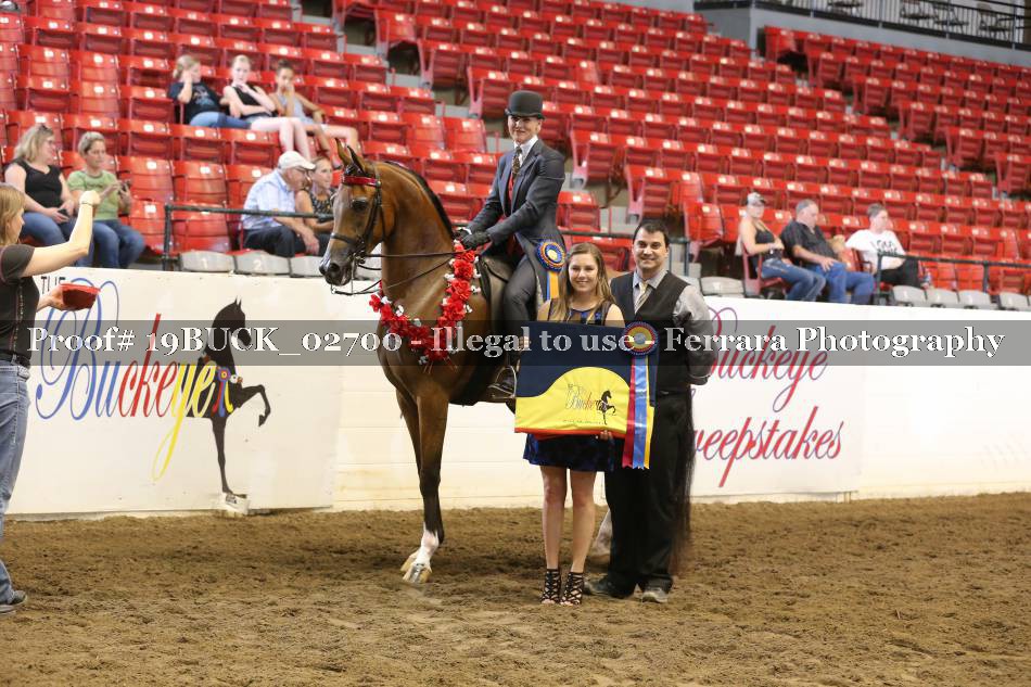 Proof 19BUCK_02700