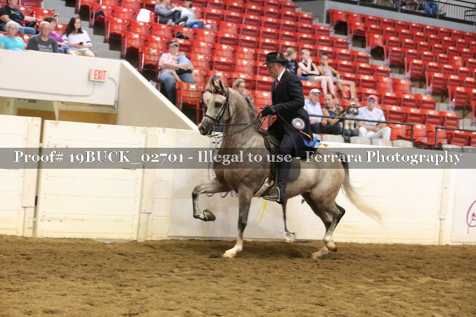 Proof 19BUCK_02701