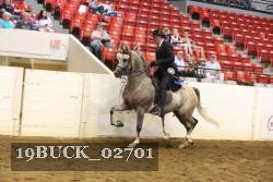 19BUCK_02701 proof