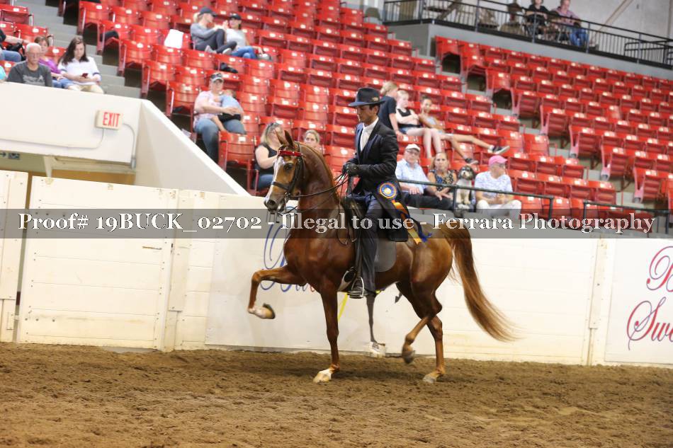 Proof 19BUCK_02702