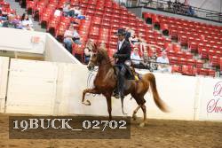 19BUCK_02702 proof