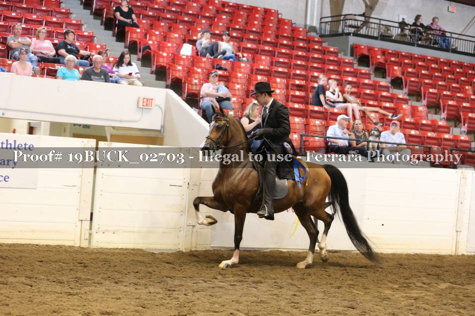 Proof 19BUCK_02703