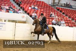 19BUCK_02703 proof