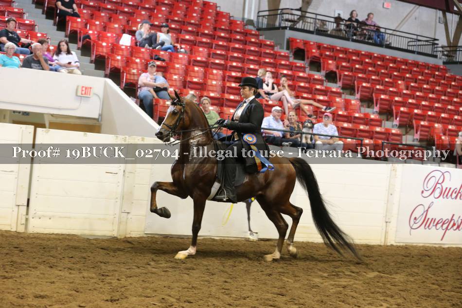 Proof 19BUCK_02704