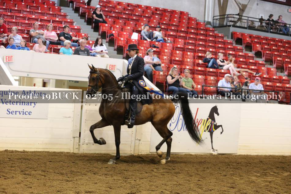 Proof 19BUCK_02705