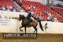 19BUCK_02705 proof