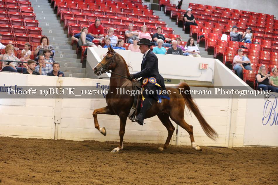 Proof 19BUCK_02706