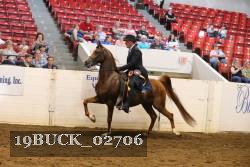 19BUCK_02706 proof