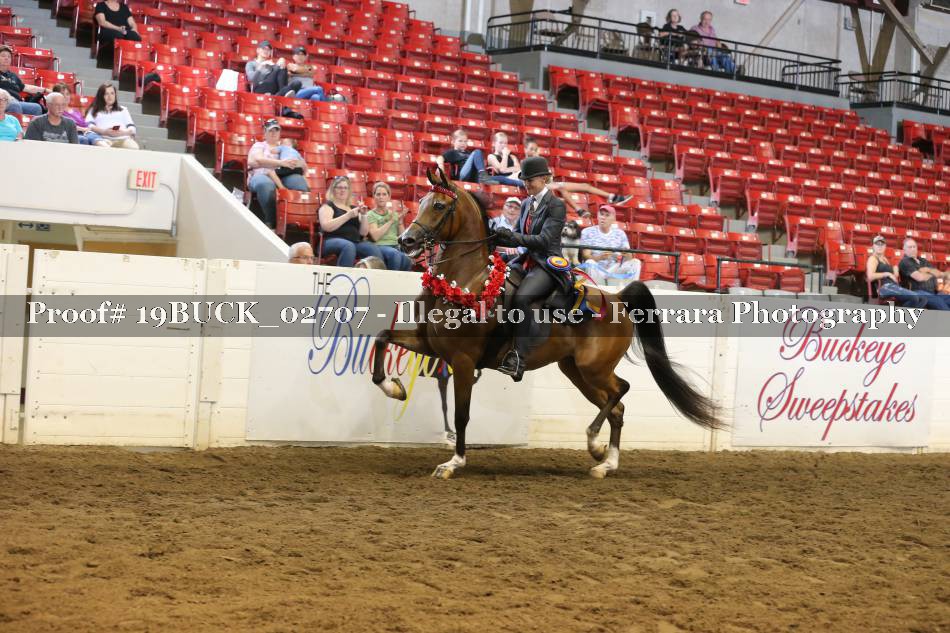 Proof 19BUCK_02707