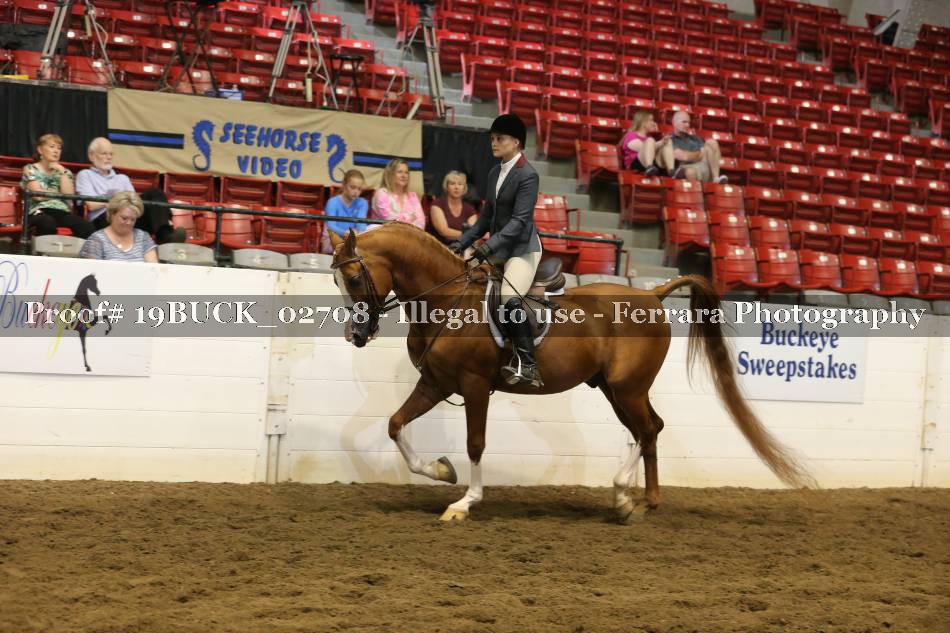 Proof 19BUCK_02708