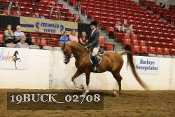 19BUCK_02708 proof