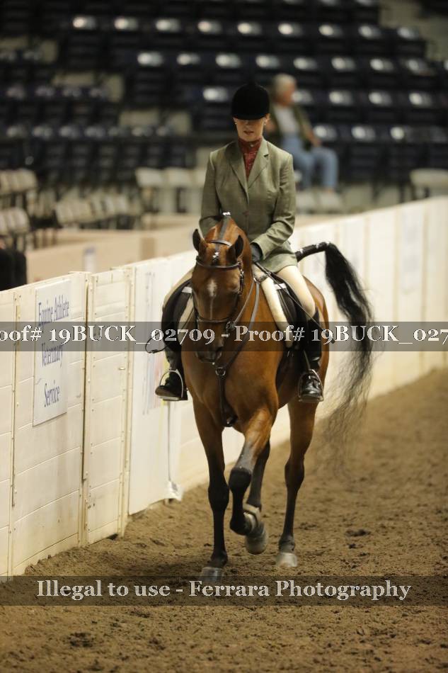 Proof 19BUCK_02709