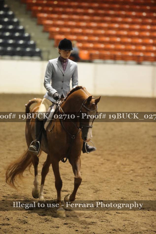 Proof 19BUCK_02710