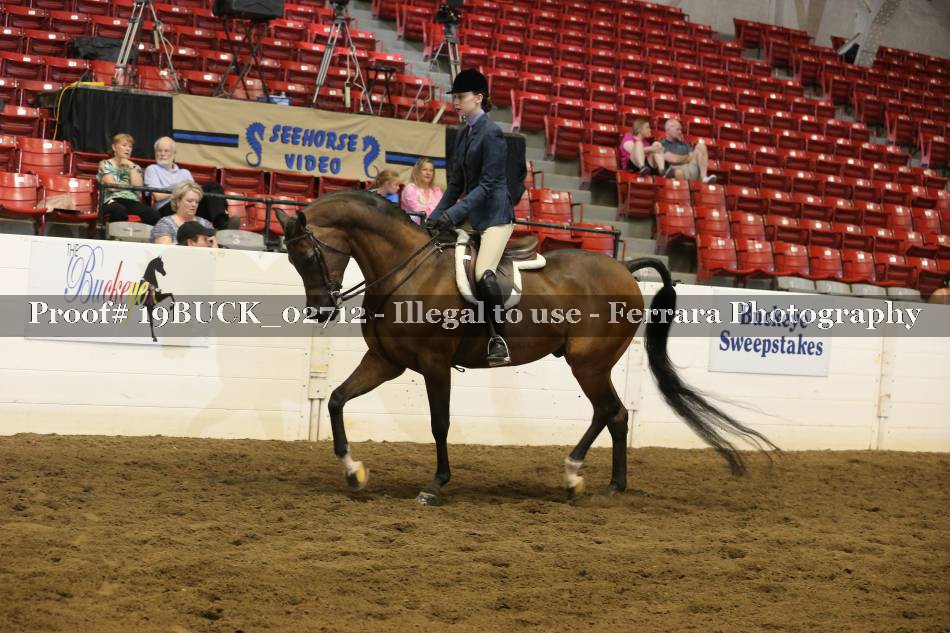 Proof 19BUCK_02712