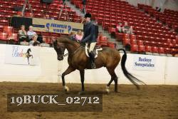19BUCK_02712 proof