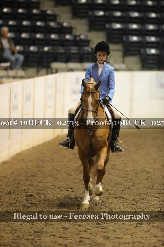 Proof 19BUCK_02713