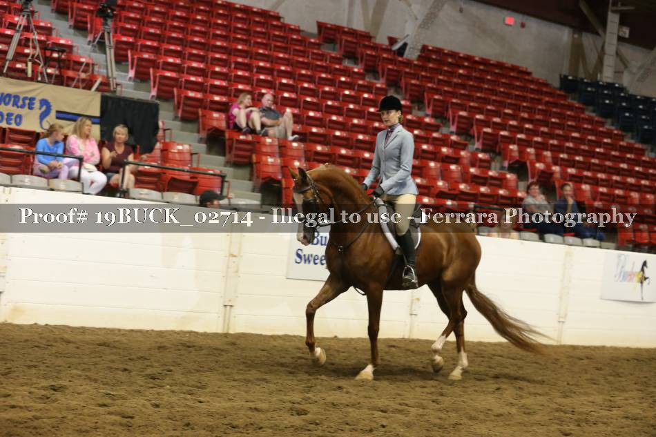 Proof 19BUCK_02714