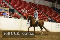 19BUCK_02714 proof