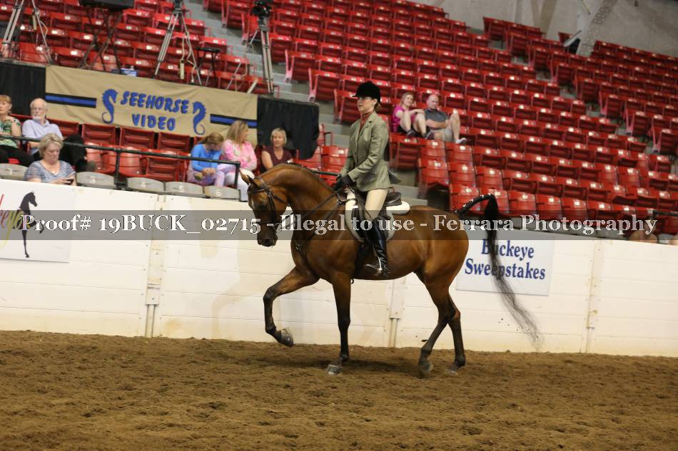 Proof 19BUCK_02715