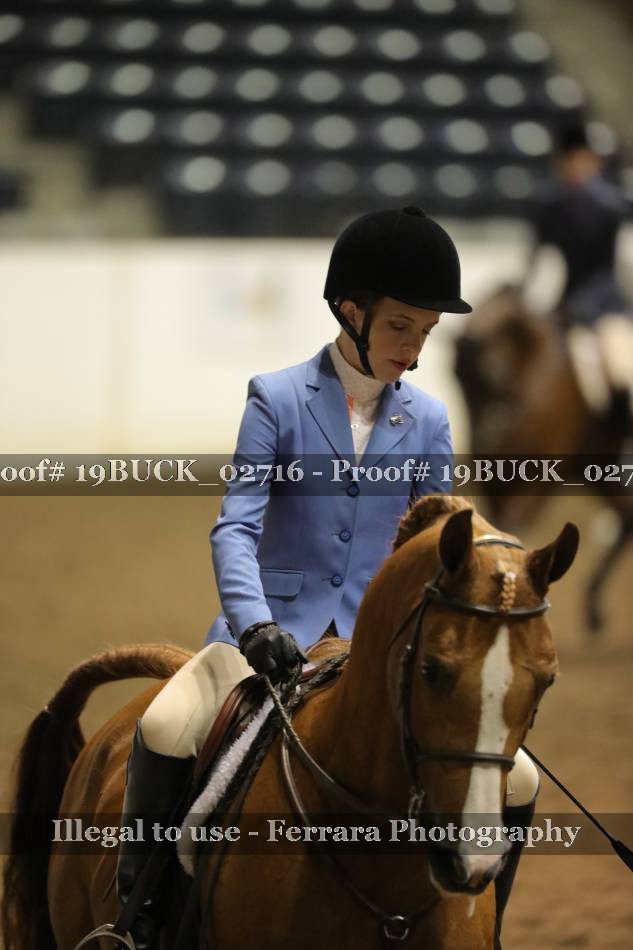 Proof 19BUCK_02716