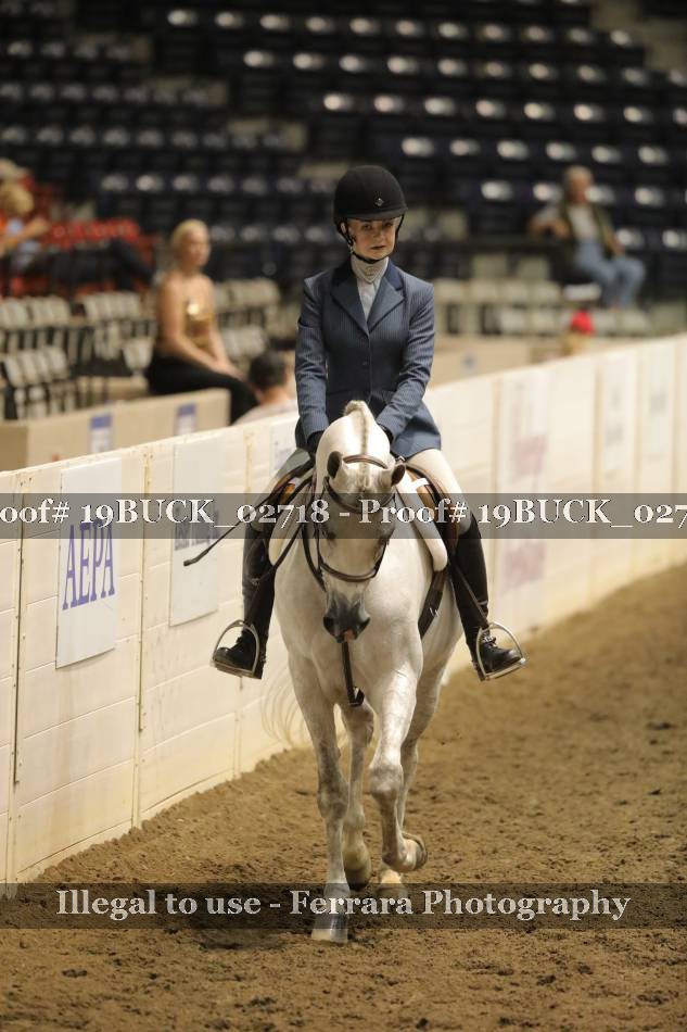 Proof 19BUCK_02718