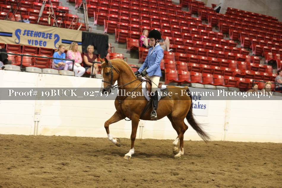 Proof 19BUCK_02719