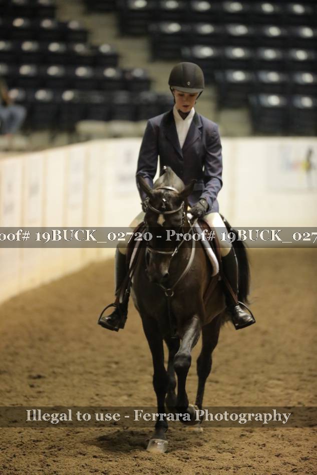 Proof 19BUCK_02720
