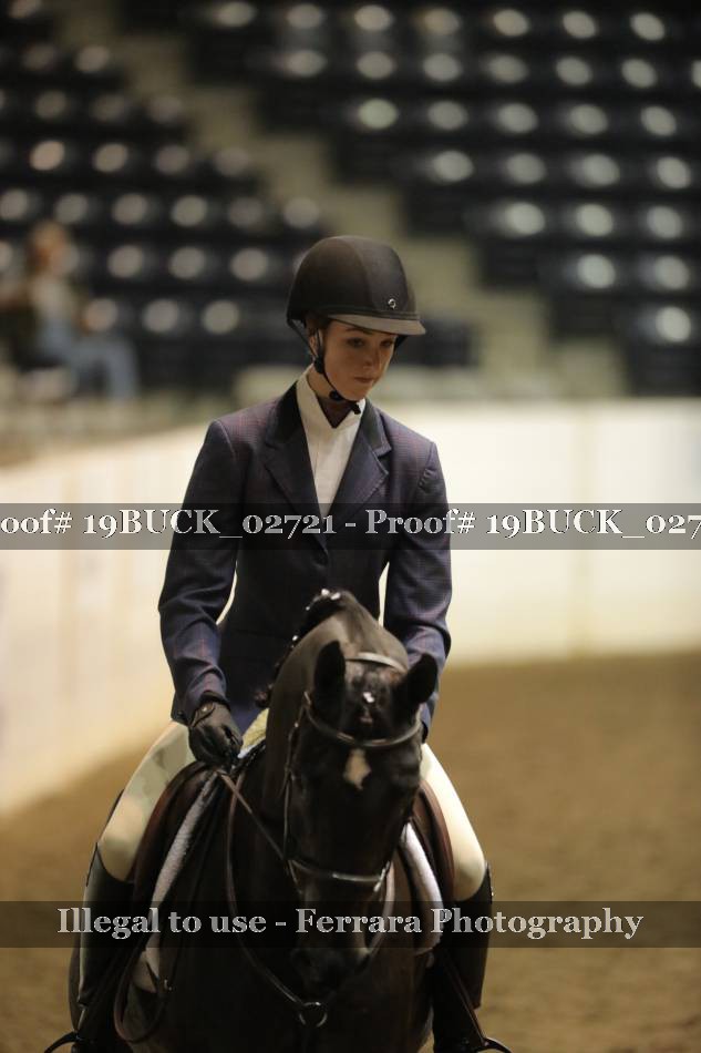 Proof 19BUCK_02721