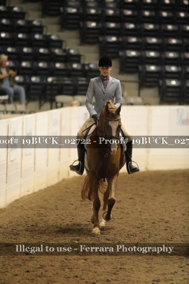 Proof 19BUCK_02722