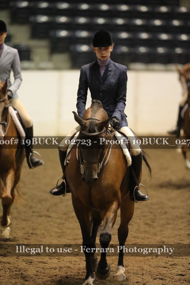 Proof 19BUCK_02723