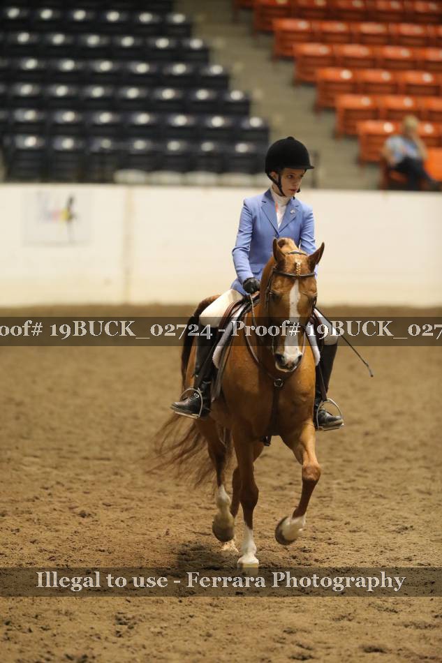 Proof 19BUCK_02724