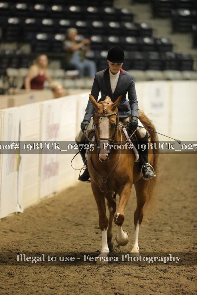 Proof 19BUCK_02725