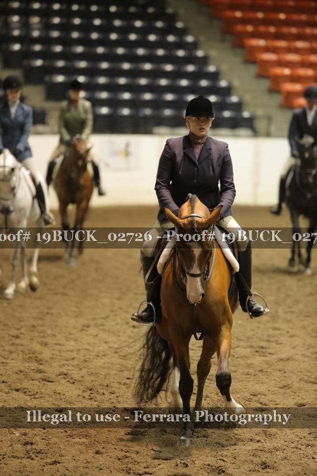 Proof 19BUCK_02726