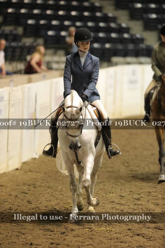 Proof 19BUCK_02727
