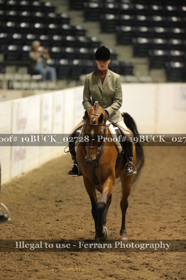 Proof 19BUCK_02728