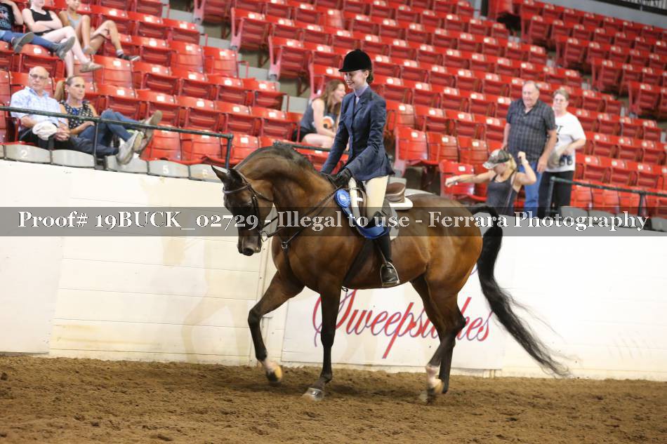 Proof 19BUCK_02729