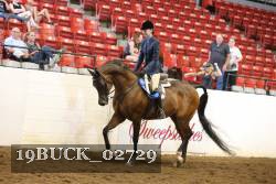 19BUCK_02729 proof