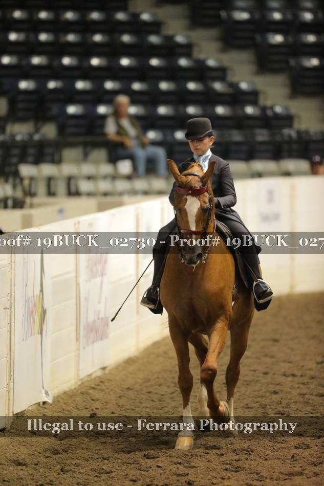 Proof 19BUCK_02730
