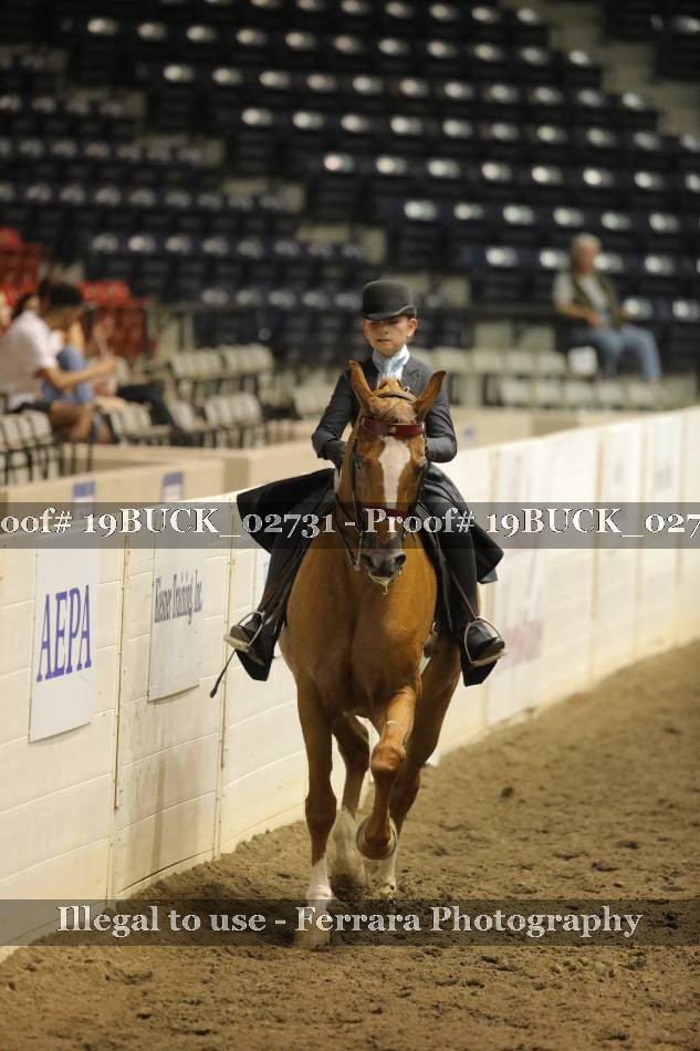 Proof 19BUCK_02731