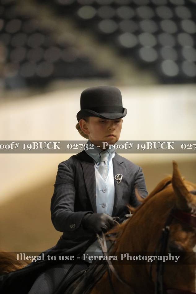Proof 19BUCK_02732