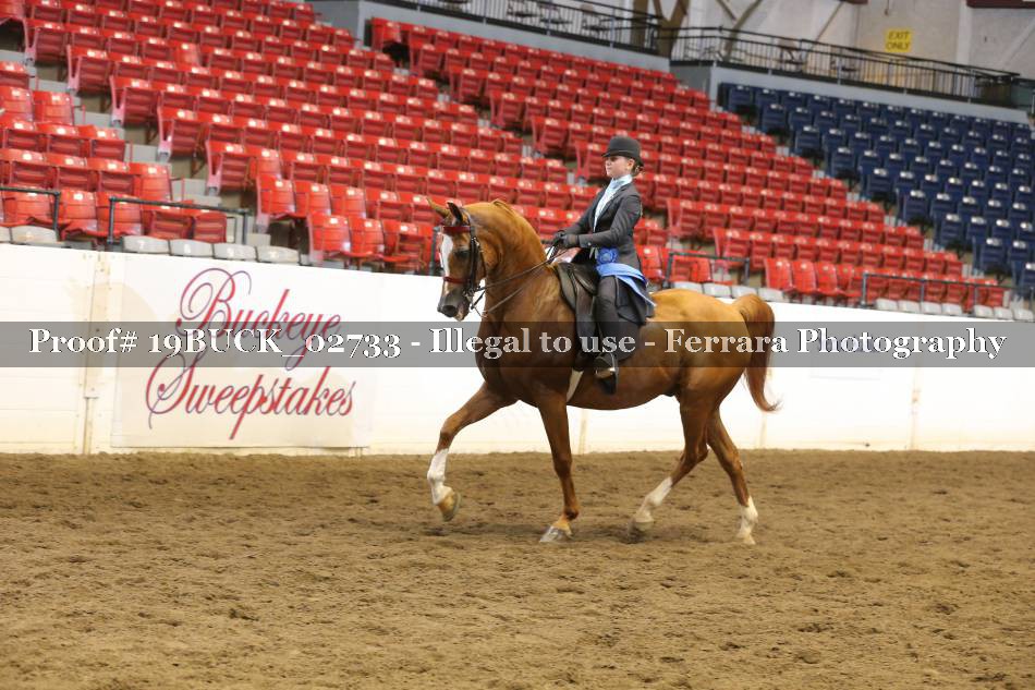 Proof 19BUCK_02733