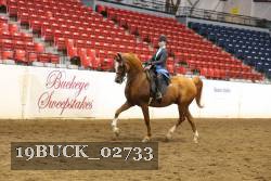 19BUCK_02733 proof