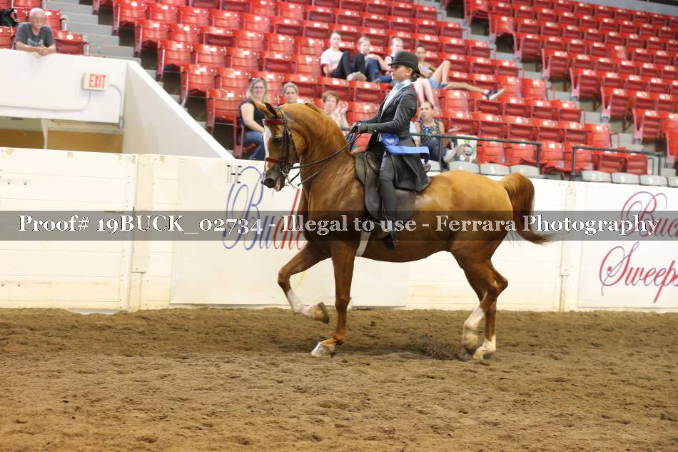 Proof 19BUCK_02734