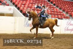 19BUCK_02734 proof