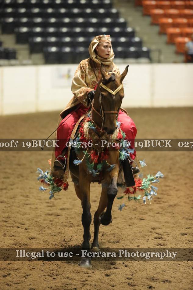 Proof 19BUCK_02736