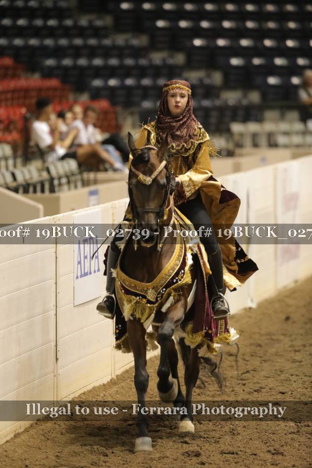Proof 19BUCK_02739