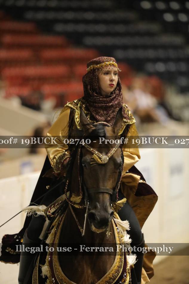 Proof 19BUCK_02740