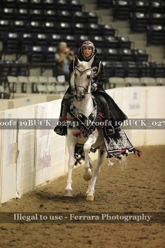 Proof 19BUCK_02741