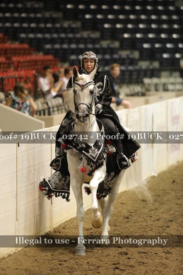 Proof 19BUCK_02742